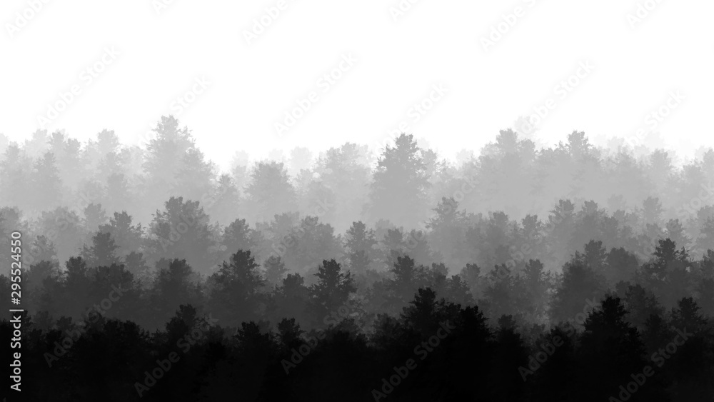 fog in the forest abstract background texture art wallpaper pattern design woods trees clouds nature sky
