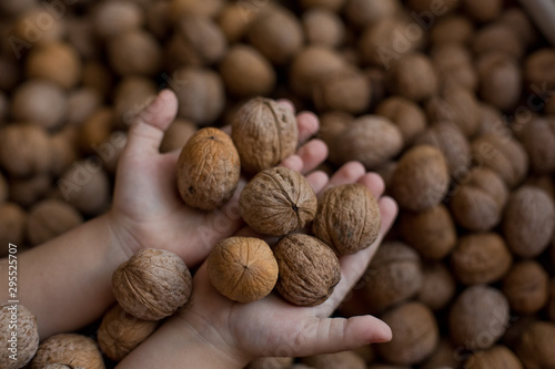 walnuts in the hands of a child on the background of nuts