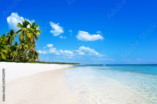 Fototapeta Naklejka Na Ścianę i Meble -   beach and tropical sea. tropical  island