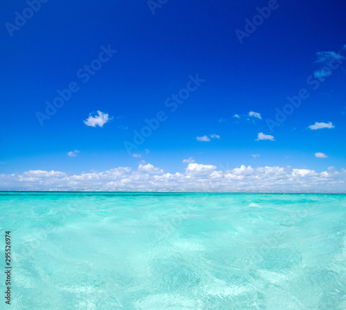 Fototapeta Naklejka Na Ścianę i Meble -  tropical sea under the blue sky. Sea landscape.