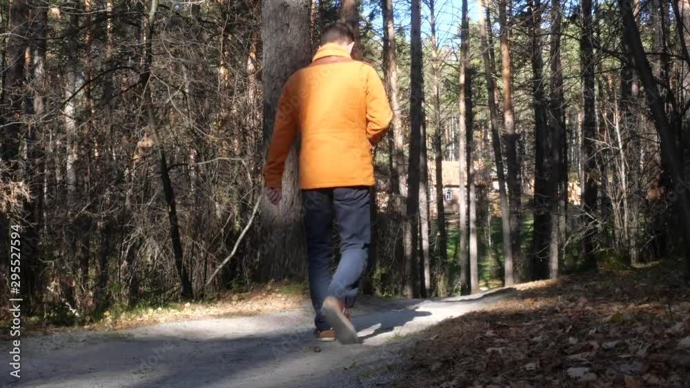 A man walks in the autumn forest. A man walks in the autumn forest.