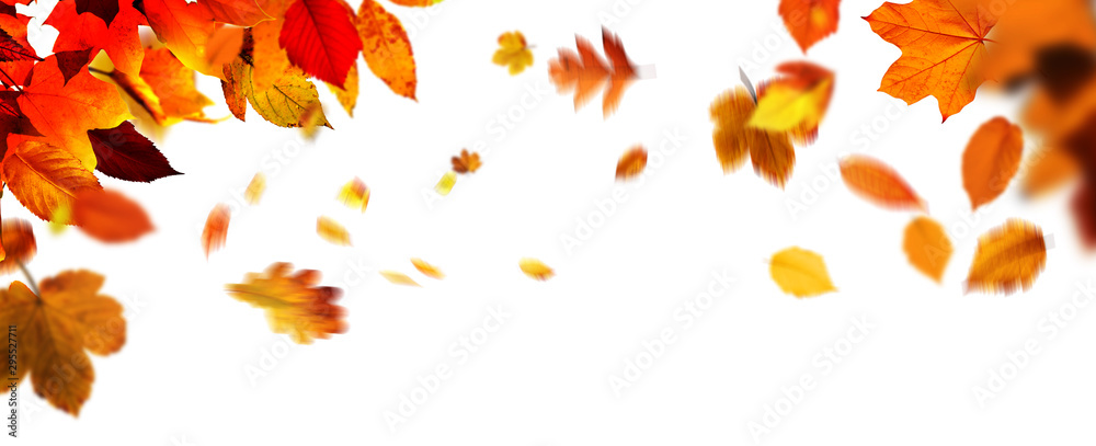 Goldener Herbst Goldener Herbst