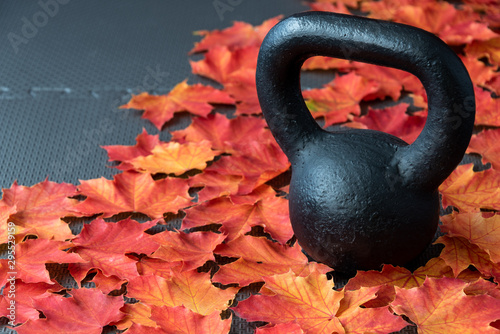 Fototapeta Naklejka Na Ścianę i Meble -  Black iron kettlebell on a black rubber gym floor, with orange and yellow maple leaves, fall fitness