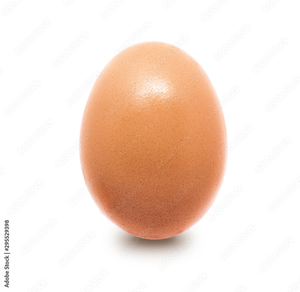 close-up egg chicken isolated on white background close-up egg chicken isolated on white background