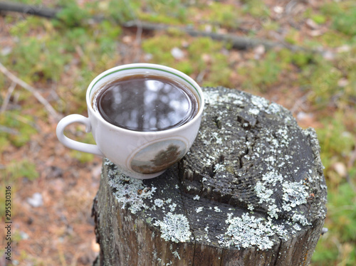 fragrant hot coffee on a stump in nature in the forest for a pleasant snack