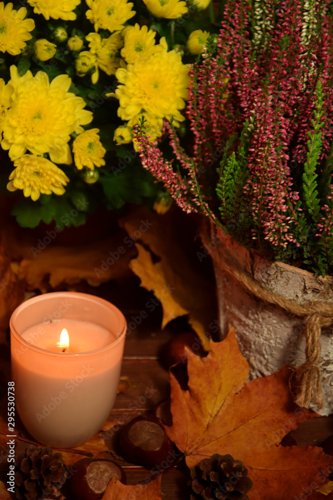 Wrzos chryzantema paląca się świeczka na liściach - jesień - obrazy, fototapety, plakaty 