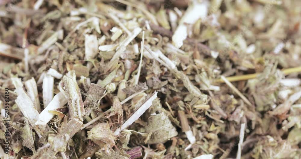 Motherwort grass in bulk