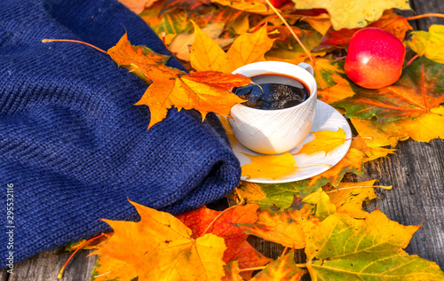 Colorful maple leaves, warm scarf and cup of coffee on background of wooden table in a resting area of public nature park. Image depicts relaxing atmosphere at sunny autumnal day