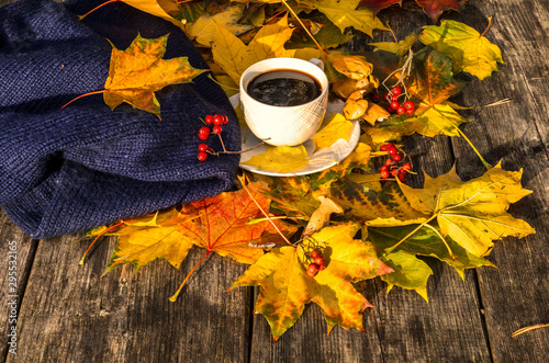 Colorful maple leaves, warm scarf and cup of coffee on background of wooden t...