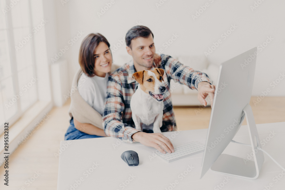 Funny dog cheap websites