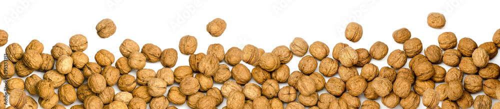 walnuts as border or panorama, isolated on white background walnuts as border or panorama, isolated on white background