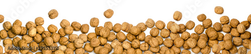 walnuts as border or panorama, isolated on white background