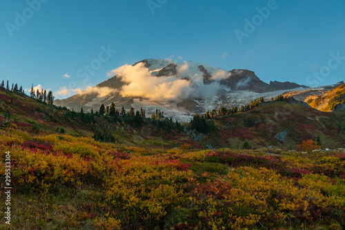 Autumn Display Throughout Paradise at Base of Mount Rainier