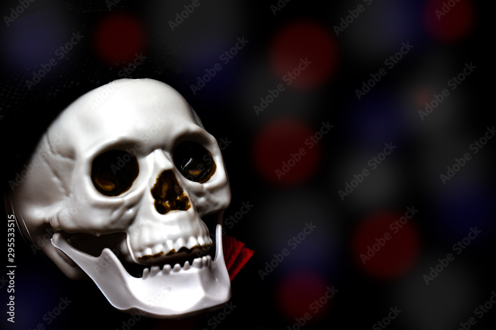 Creepy smiling skeleton skull close up on black bokeh background with copy space, death and mystery concept, halloween Creepy smiling skeleton skull close up on black bokeh background with copy space, death and mystery concept, halloween