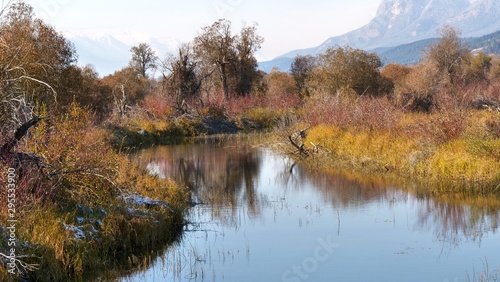 Autumn Wetland