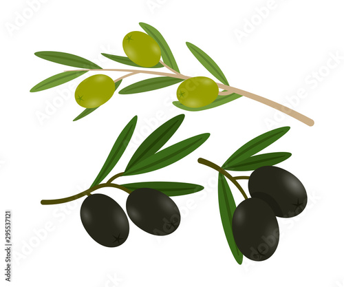 Olives on branches flat vector illustrations set