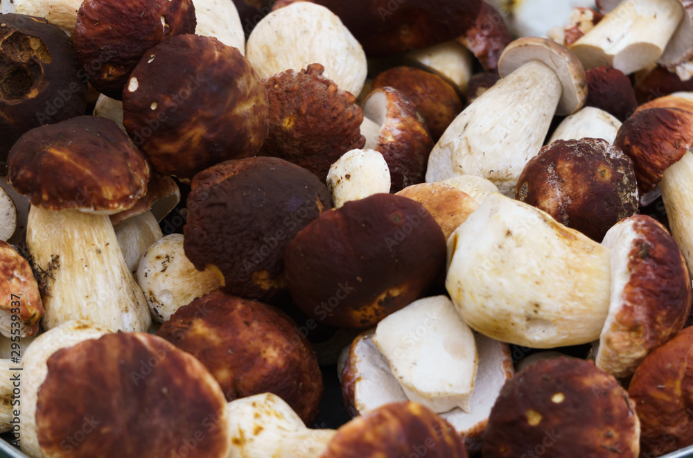 Mushrooms with brown hats and white legs in crates in the market.Boletus. Mushrooms with brown hats and white legs in crates in the market.Boletus.