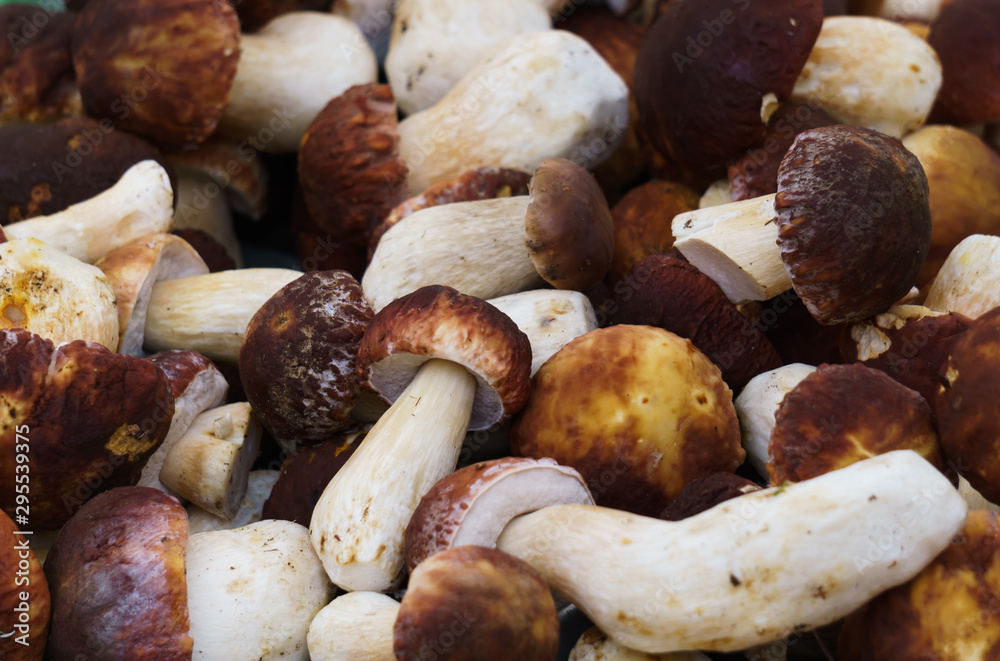 Mushrooms with brown hats and white legs in crates in the market.Boletus. Mushrooms with brown hats and white legs in crates in the market.Boletus.