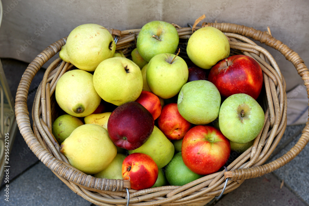 Red, yellow and green apples in the basket. Autumn harvest festival in Tbilisi Georgia. Red, yellow and green apples in the basket. Autumn harvest festival in Tbilisi Georgia.