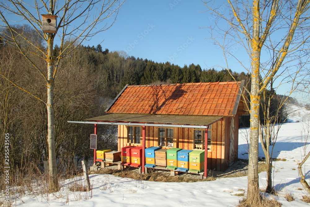 custom made wallpaper toronto digitalBienenstock im Winter