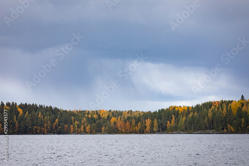 Rain over autumn colors forest at lake shore