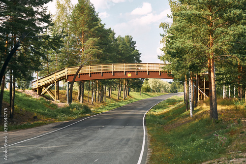 wooden bridge over an asphalt road on a sunny summer day