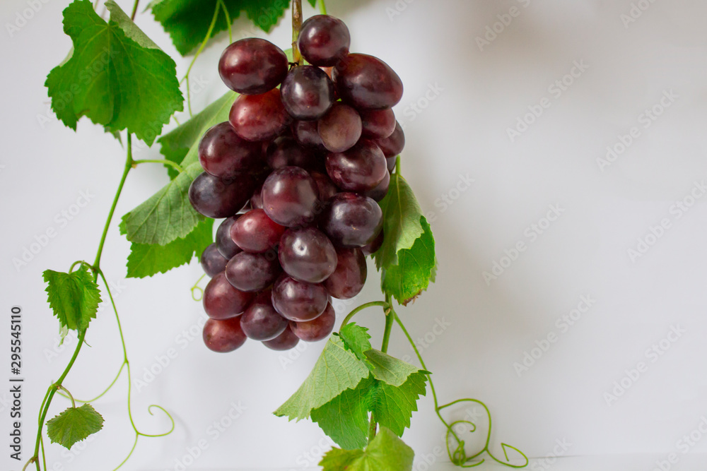 Fototapeta premium Bunches of fresh ripe red grapes on a wooden background. Ancient grapes. Red wine grapes. dark grapes, blue grapes, wine grapes. Copyspace