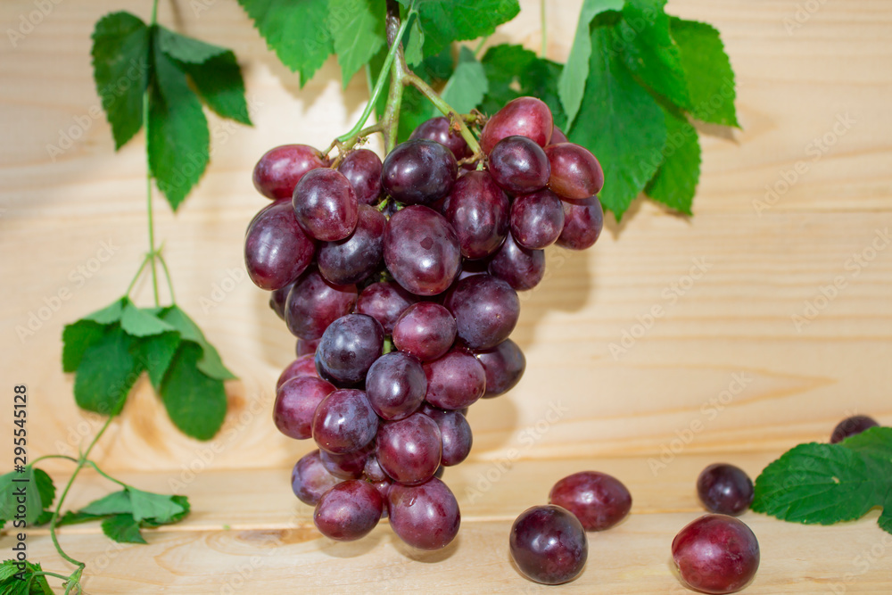 Bunches of fresh ripe red grapes on a wooden background. Ancient grapes. Red wine grapes. dark grapes, blue grapes, wine grapes Bunches of fresh ripe red grapes on a wooden background. Ancient grapes. Red wine grapes. dark grapes, blue grapes, wine grapes
