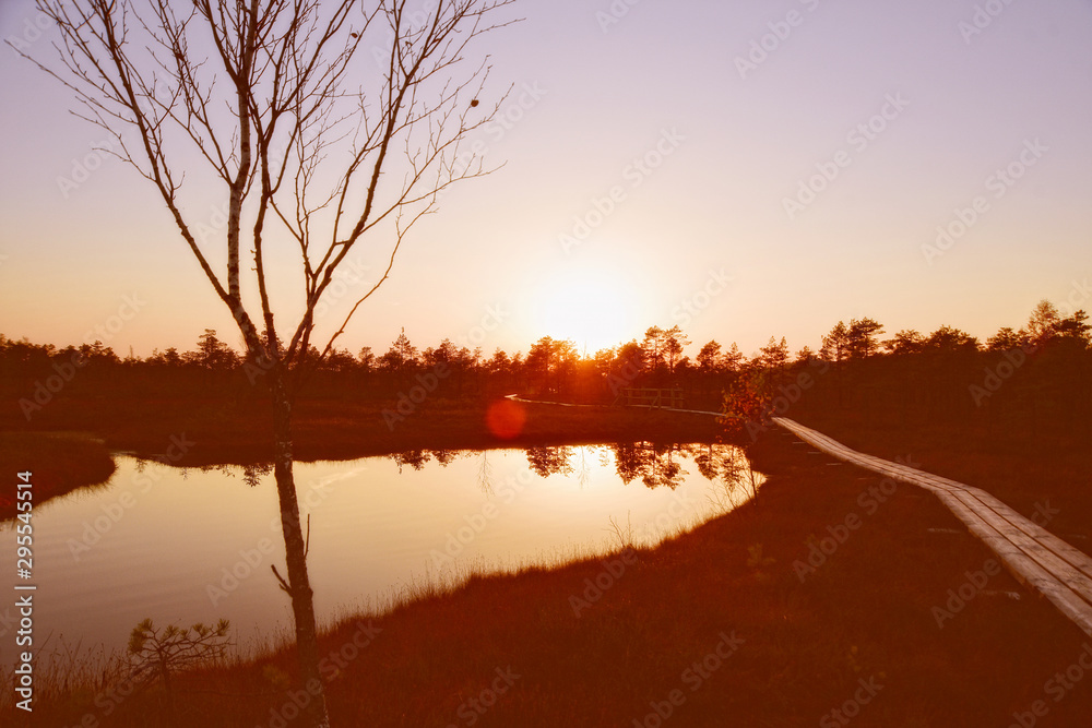 Fototapeta premium Sunrise over the lake with the reflection of trees in the water.
