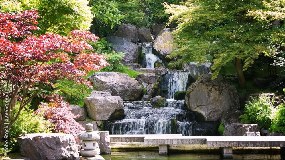 Waterfall loopable cinemagraph with maple trees in Kyoto Japanese Garden in Holland Park green summer peaceful zen lake pond water and green trees in London, UK 