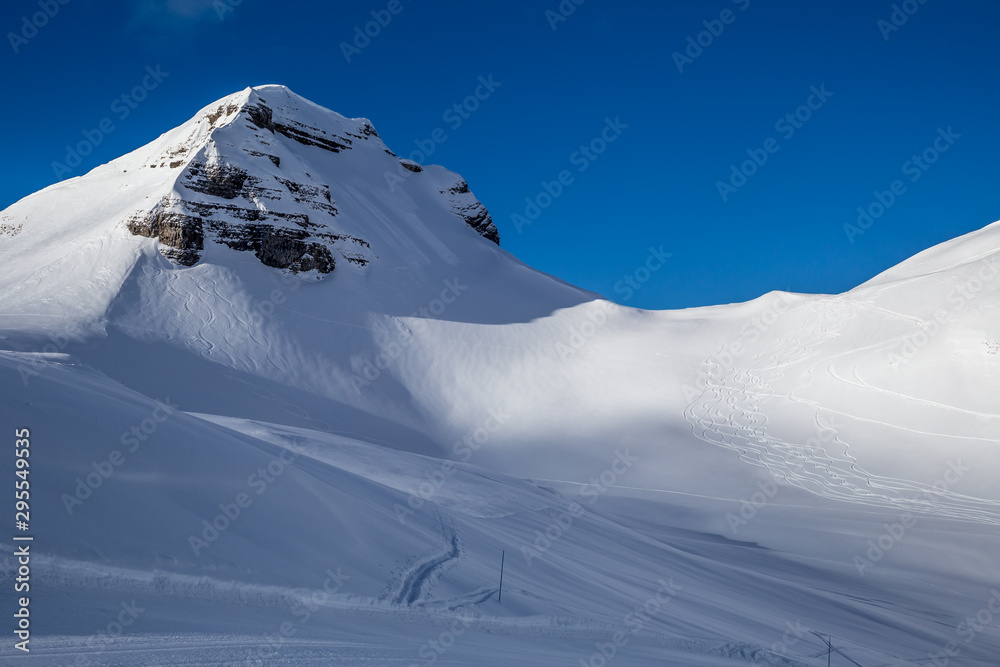 Painting skiers in powder snow