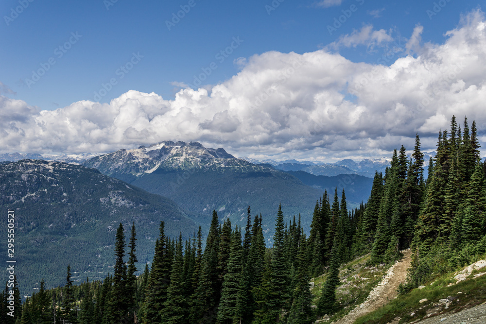 Obraz premium Bird view of the Whistler mountain in the morning from the top.