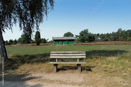 comfortable bench in the lueneburg heath