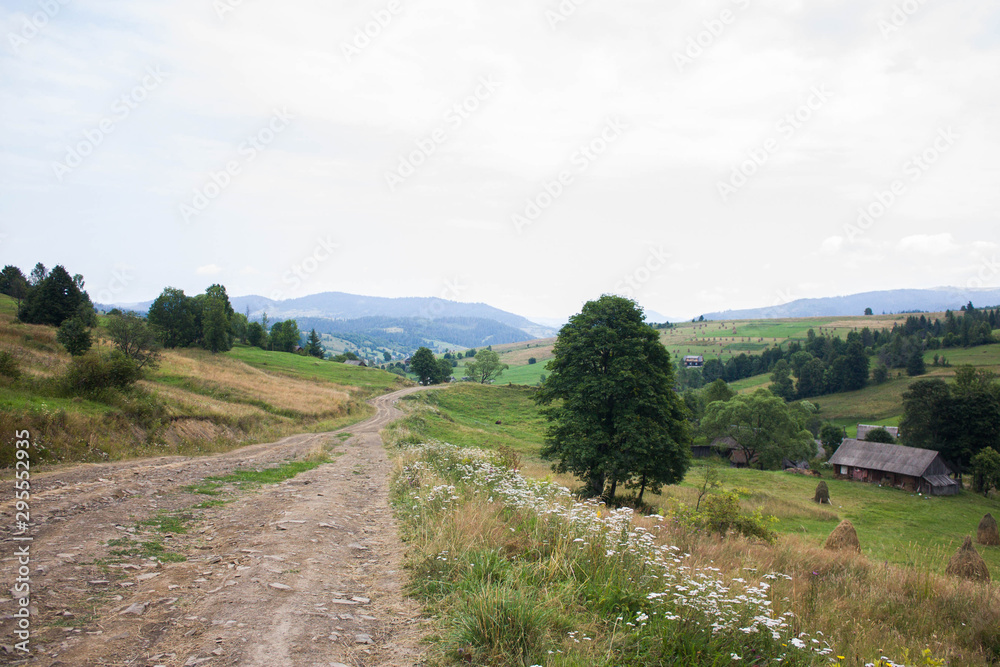 Obraz premium Carpathian landscapes. Forests and mountains of the Carpathians.