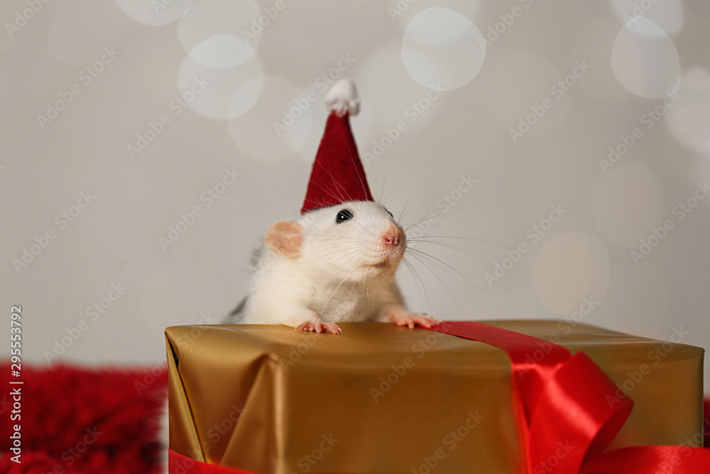 Fototapeta premium Cute little rat with Santa hat and gift box on fluffy blanket against blurred lights. Chinese New Year symbol