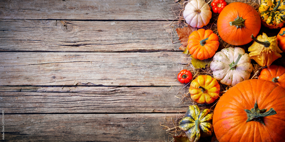 Thanksgiving Border - Pumpkins And On Aged Plank Stock Photo | Adobe Stock