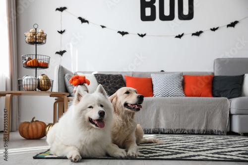 Canvas Print Cute dogs in room decorated for Halloween