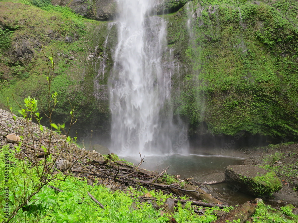 Obraz premium waterfall in forest