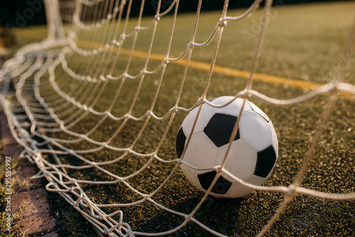 Soccer ball in the gate net, nobody