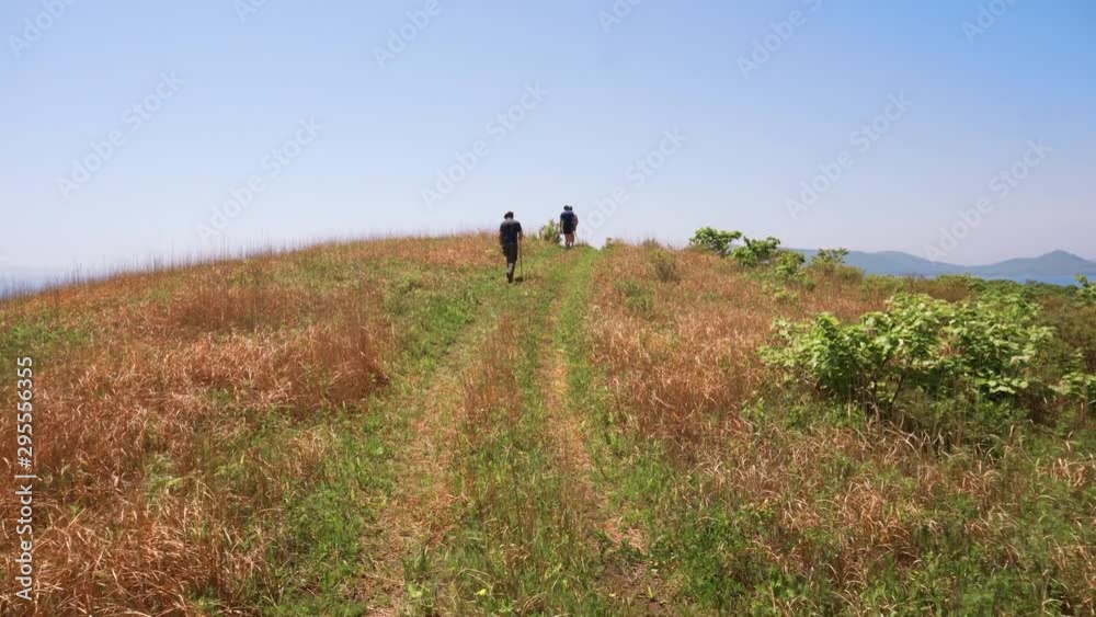 Two tourists walk along a dirt road among green meadows. Summer walk athletes in the fields. Two tourists walk along a dirt road among green meadows. Summer walk athletes in the fields.