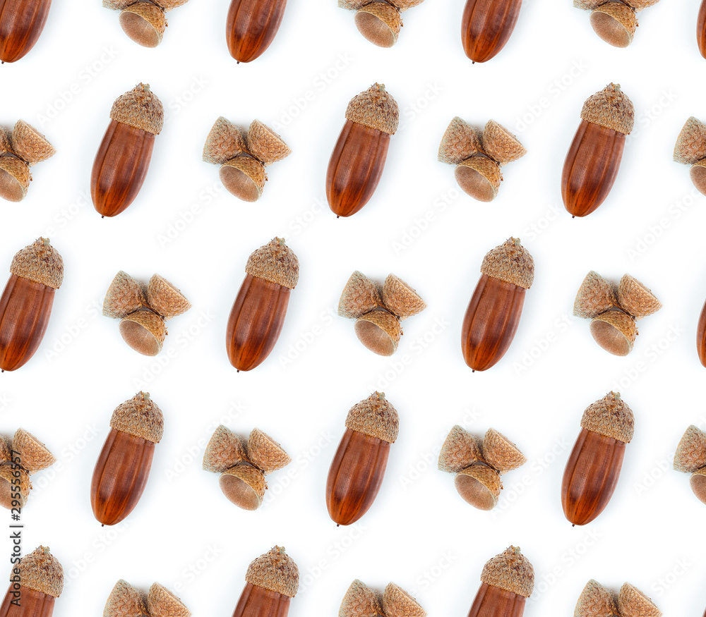 Autumn acorns seamless pattern on white background. Flat lay, top view.