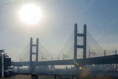 Cable stayed bridge against the backlight