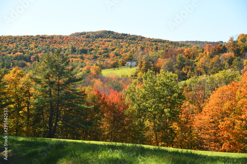 landscape of autumn mountain forest and farm