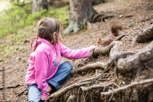 Mädchen füttert Eichhörnchen, Europäisches Eichhörnchen (Sciurus vulgaris)