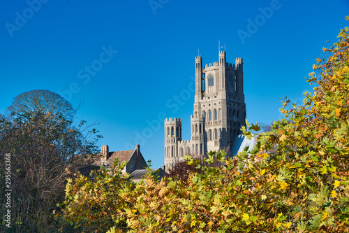 gothic style cathedral and colored leaves, blue sky background