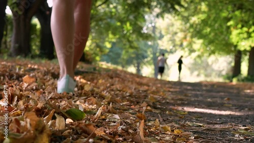 Wallpaper Mural People walking in autumn park. Fall leaves under their feet. Graceful woman wear white snickers. Golden autumn concept 4k Torontodigital.ca