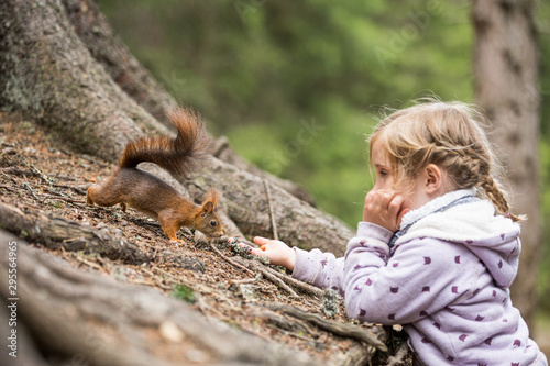 Mädchen füttert Eichhörnchen mit einer Haselnuss, Europäisches Eichhörnchen (Sciurus vulgaris)