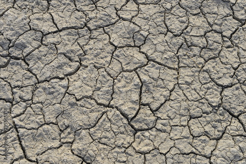 pora sucha z bardzo suchym terenem i niewielką ilością zepsutej gleby praktycznie bez roślinności