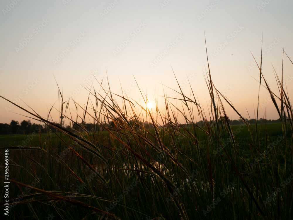 sunset over lake