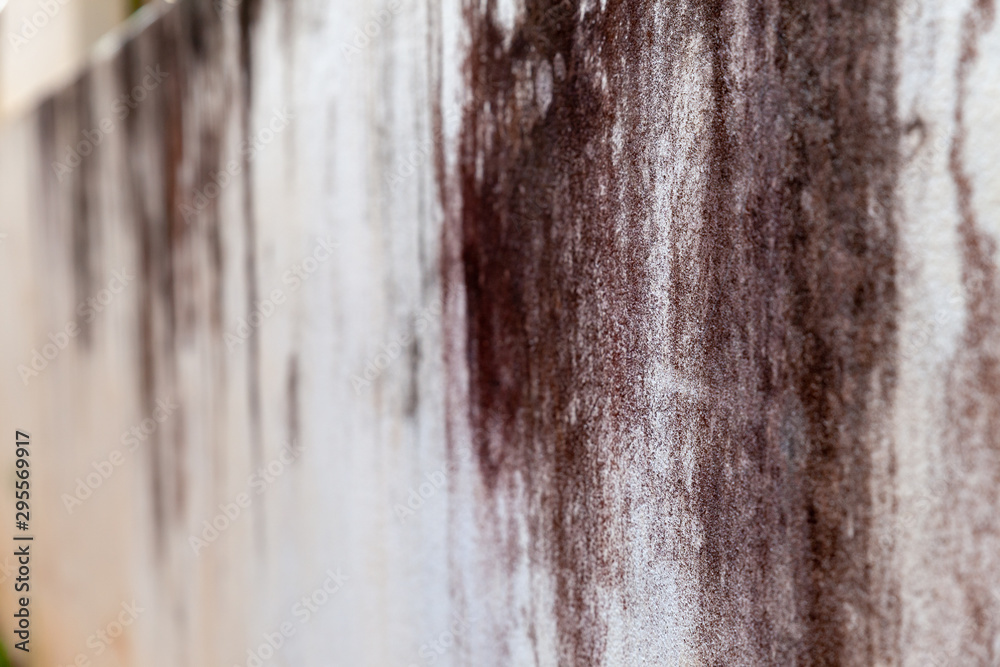 Fototapeta premium Texture of old gray concrete wall. Texture of concrete wall with cracks and scratches. Paint dirty wall. cement background.